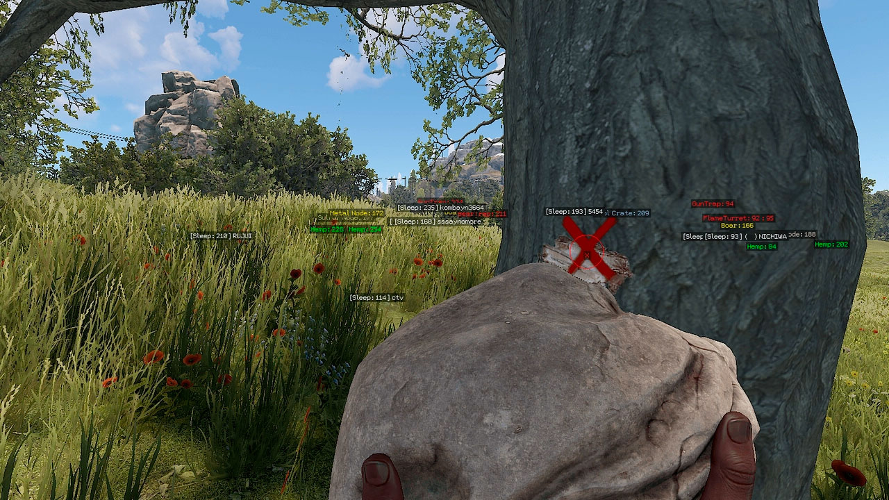 приватный чит rust